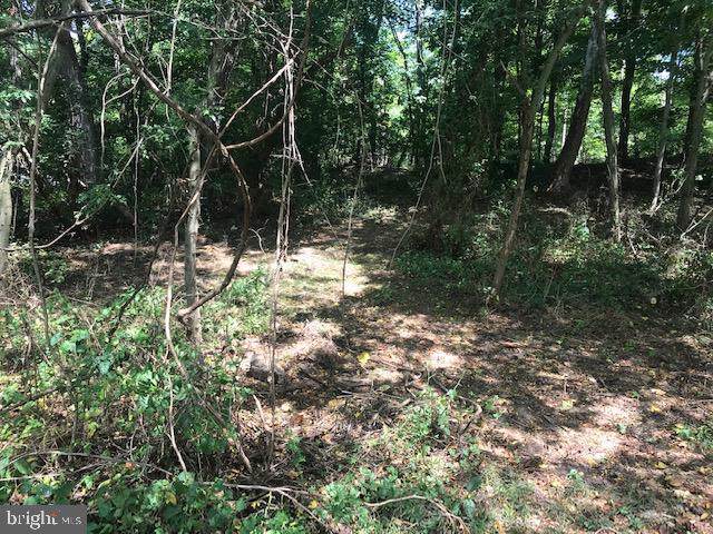 0 Spruce Hill Road - Photo 1
