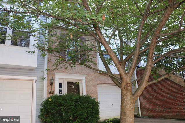 209 Mountain Terrace - Photo 1