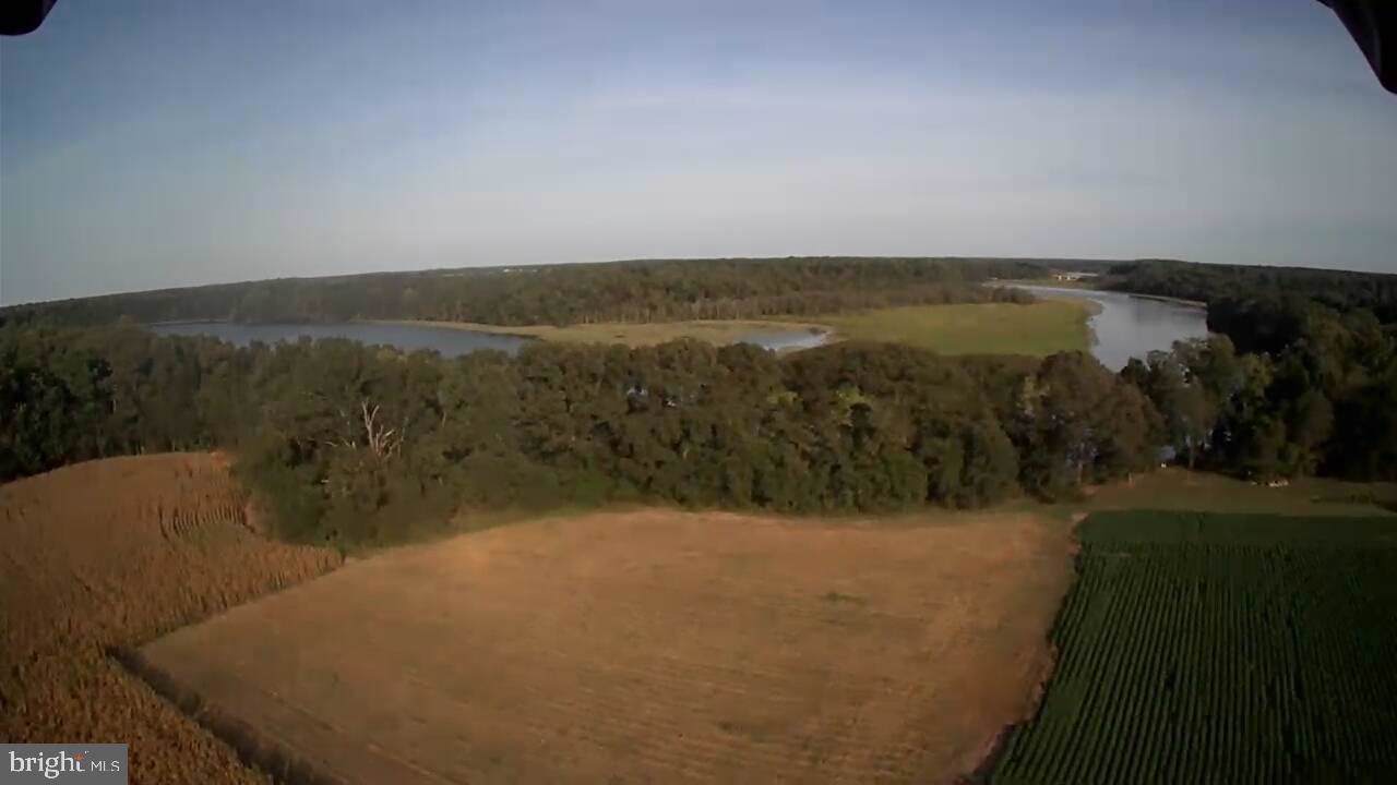 0 Reese Landing Road - Photo 1