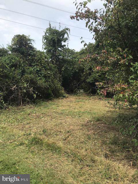 163 Telegraph Road - Photo 1