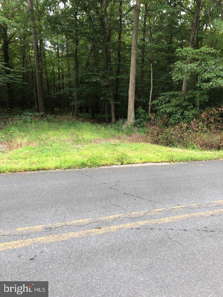 0 Costen Road - Photo 1