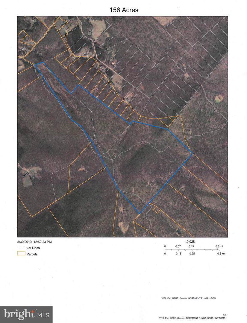 Back Creek Road - Photo 1