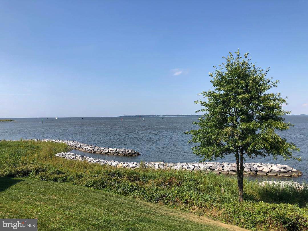 446 Narrows Pointe Drive - Photo 1