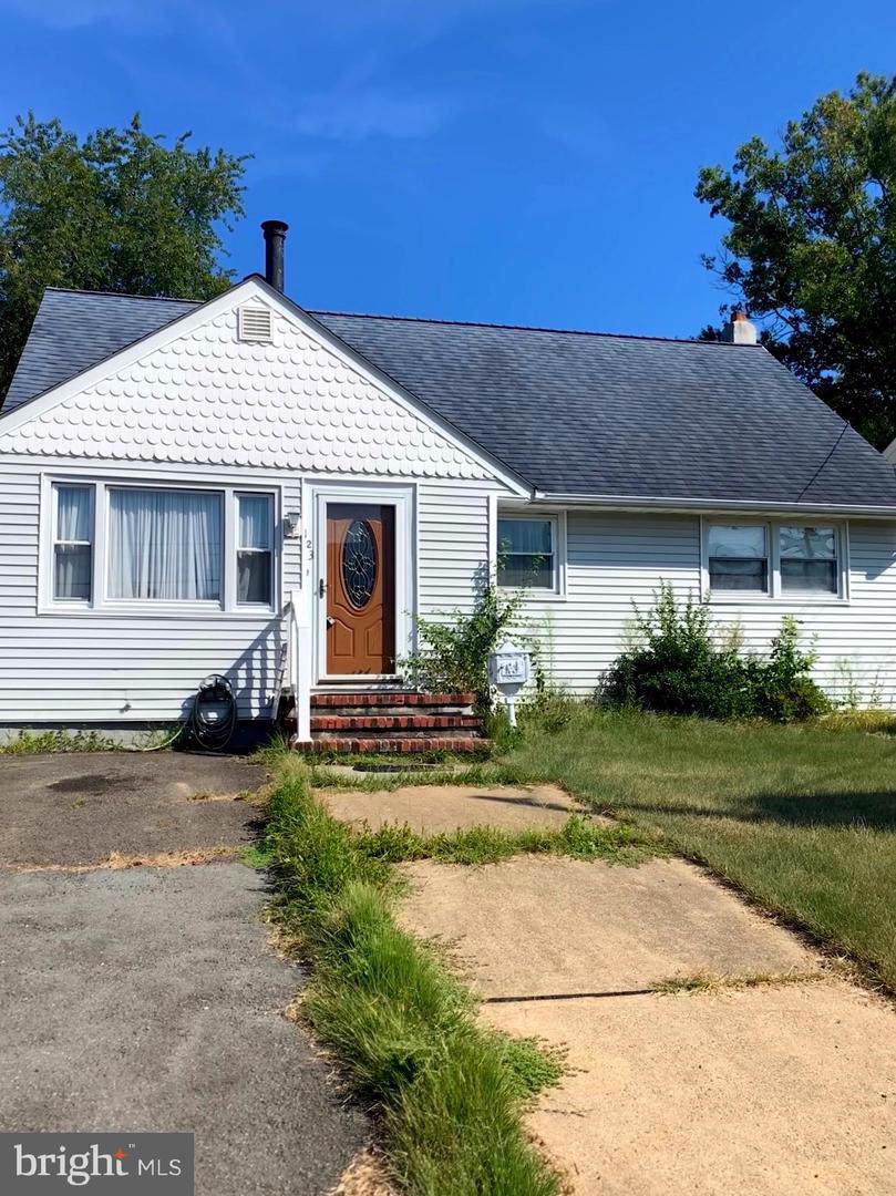 123 Van Kannel Avenue - Photo 1