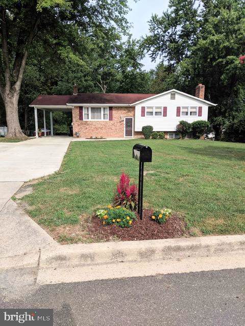 9703 David Drive - Photo 1
