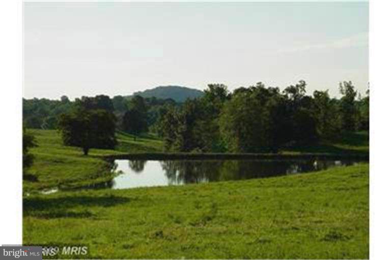 5545 Leeds Manor Road - Photo 1