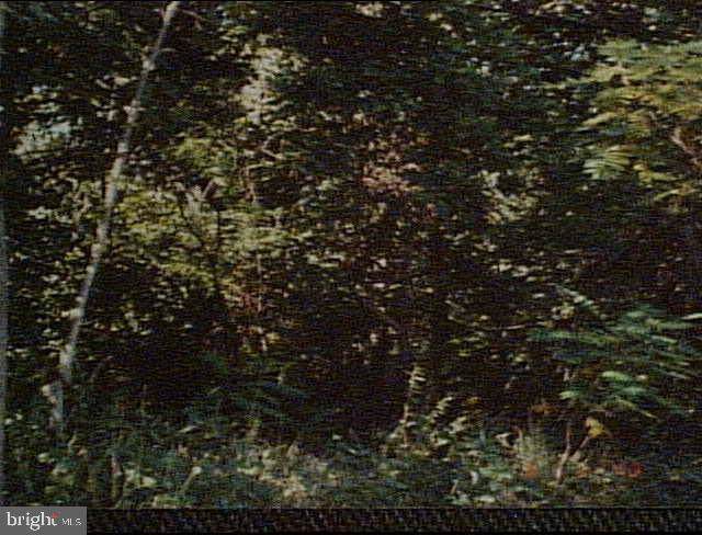 Off Meadow Trail - Photo 1