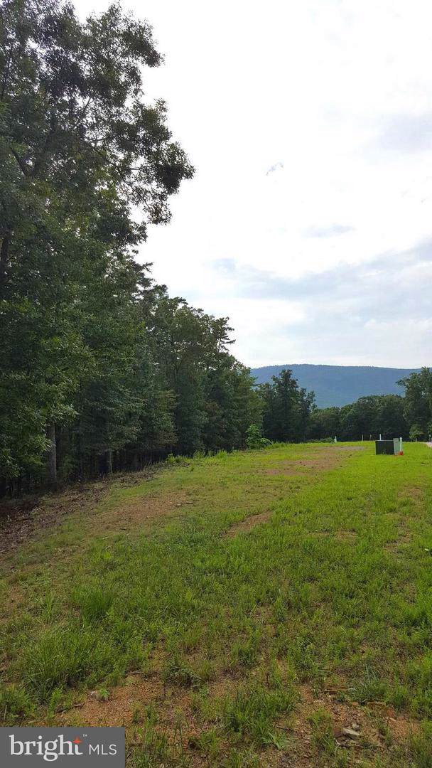 LOT 1 Creek Valley Drive - Photo 1
