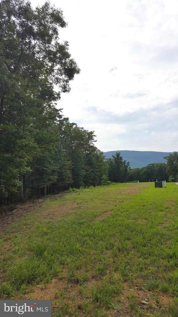 LOT 10 Creek Valley Drive - Photo 1