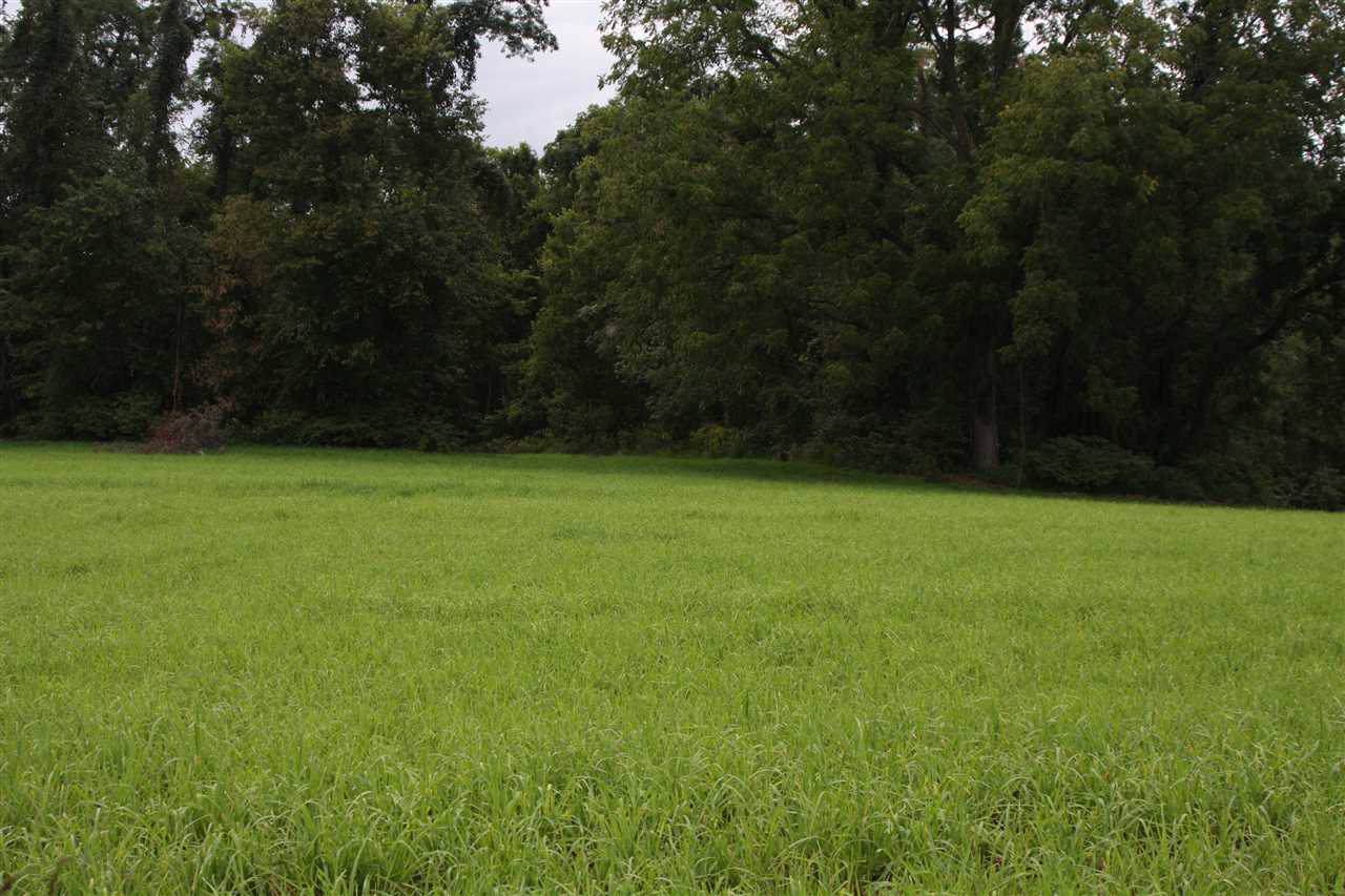 1128 Klines Run Road - Photo 1