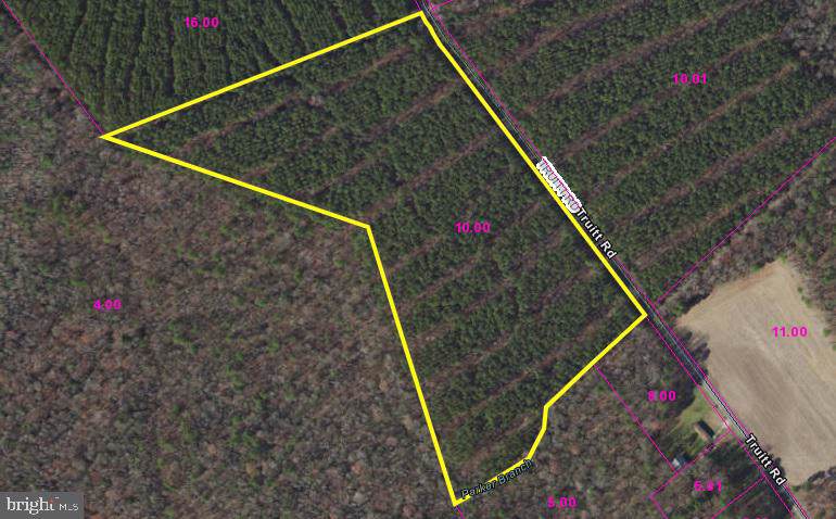 17 ACRES Truitt Road - Photo 1