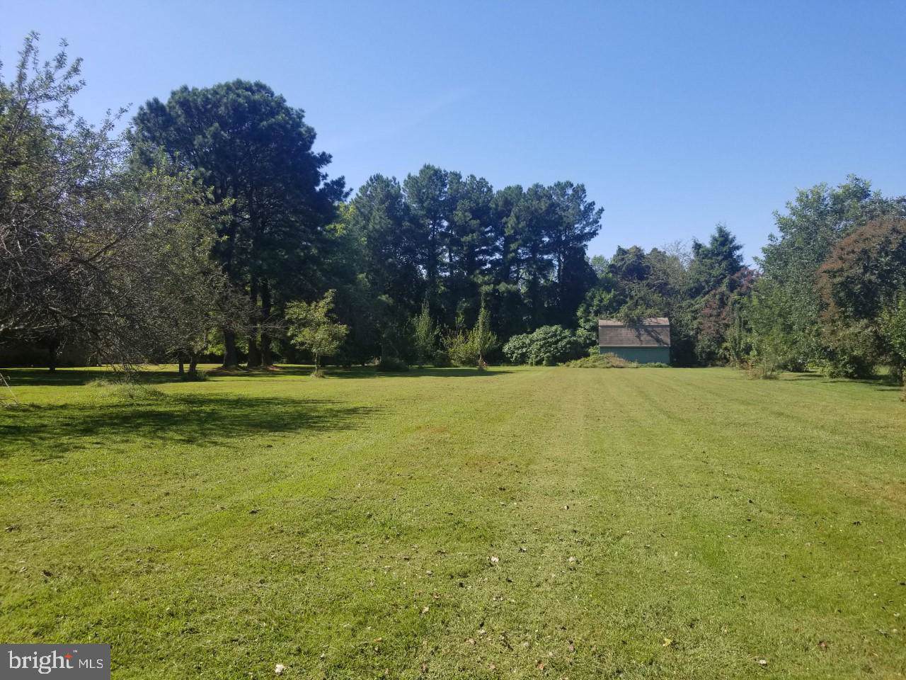 0 Pine Lane - Photo 1