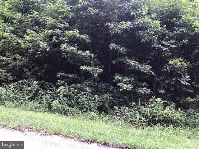 LOT #24 Hidden Lake Drive - Photo 1