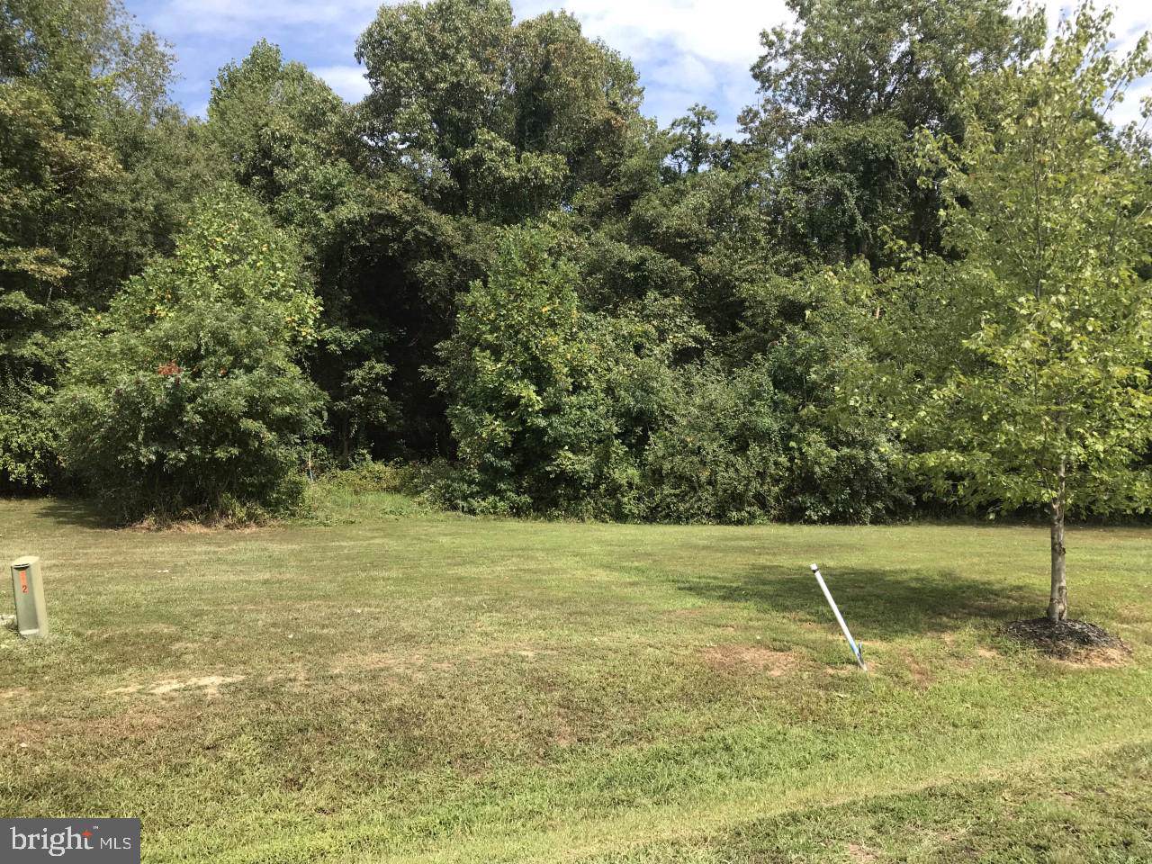159 Chesapeake Cove Lane - Photo 1