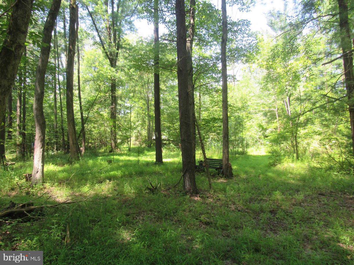 507 Old Mill Road - Photo 1