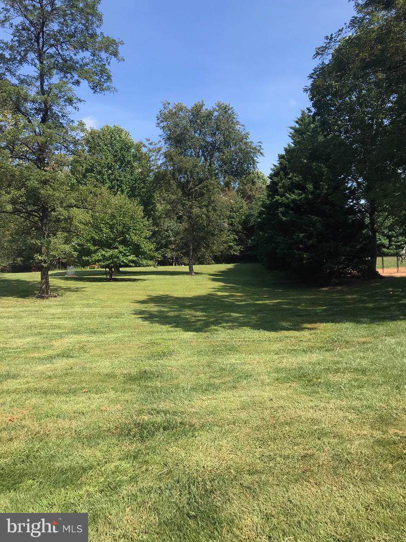 3902 Donerin Way - Photo 1