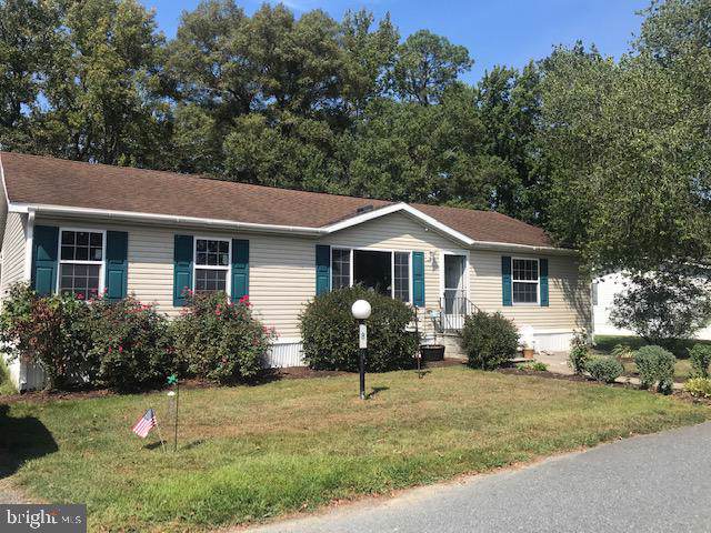 21269 Dover Bridge Road - Photo 1