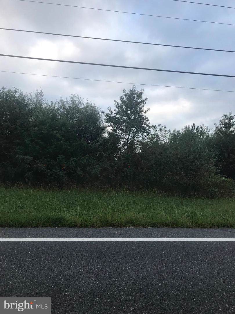 0 Fieldsboro Road - Photo 1
