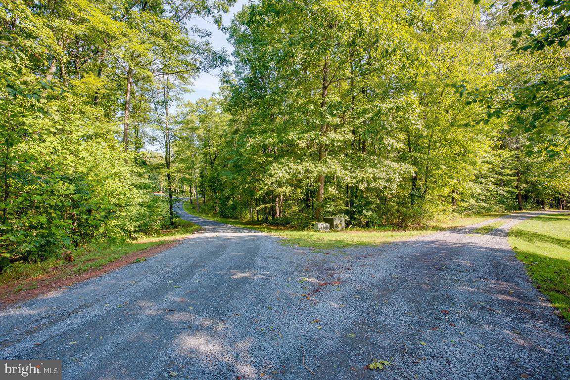 Lot 1 Breezewood Ln - Photo 1