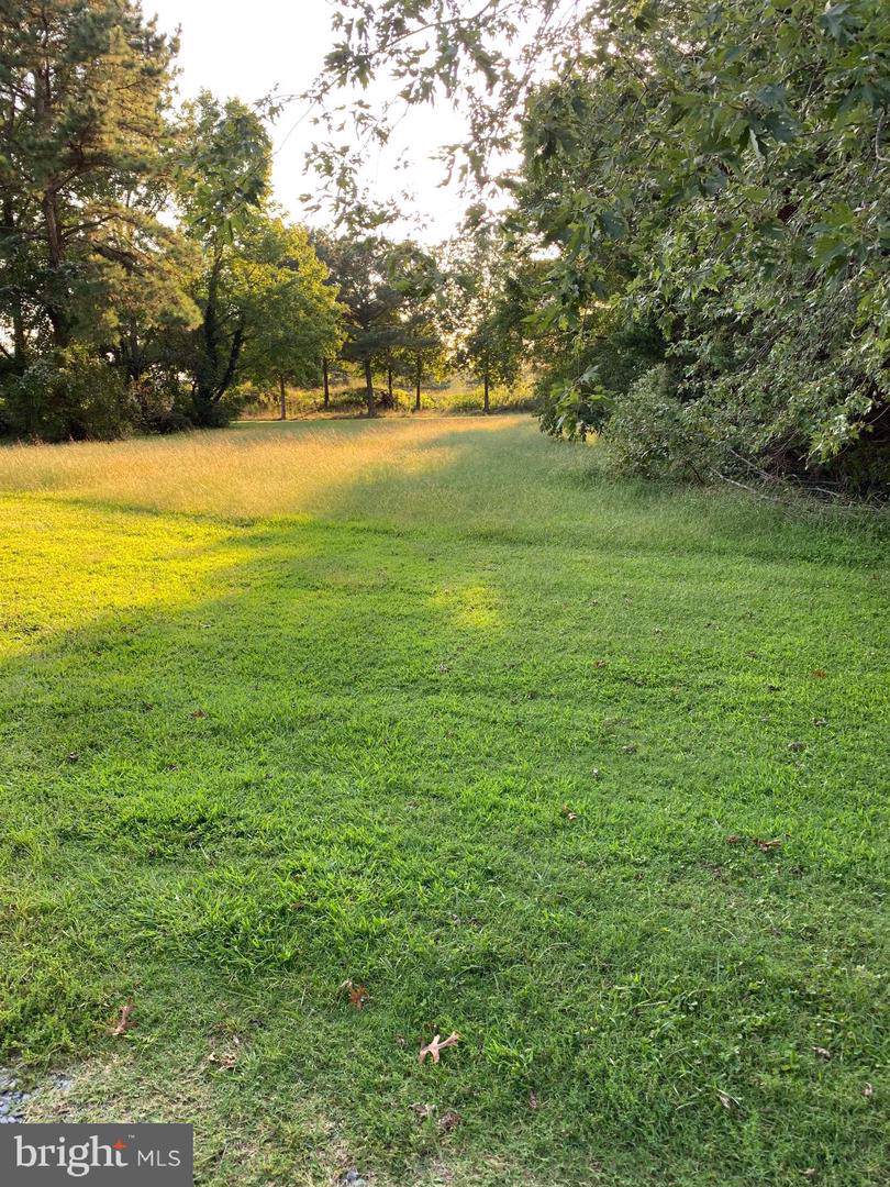 129 Dolly Circle - Photo 1