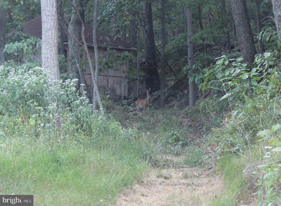 Abel Lane - Photo 1