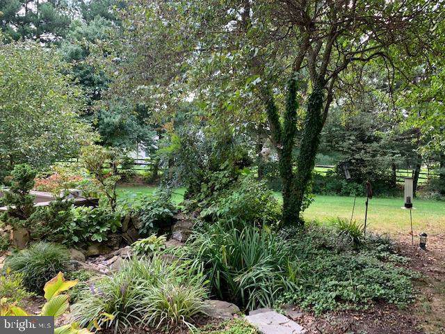 9 Pommel Lane - Photo 1