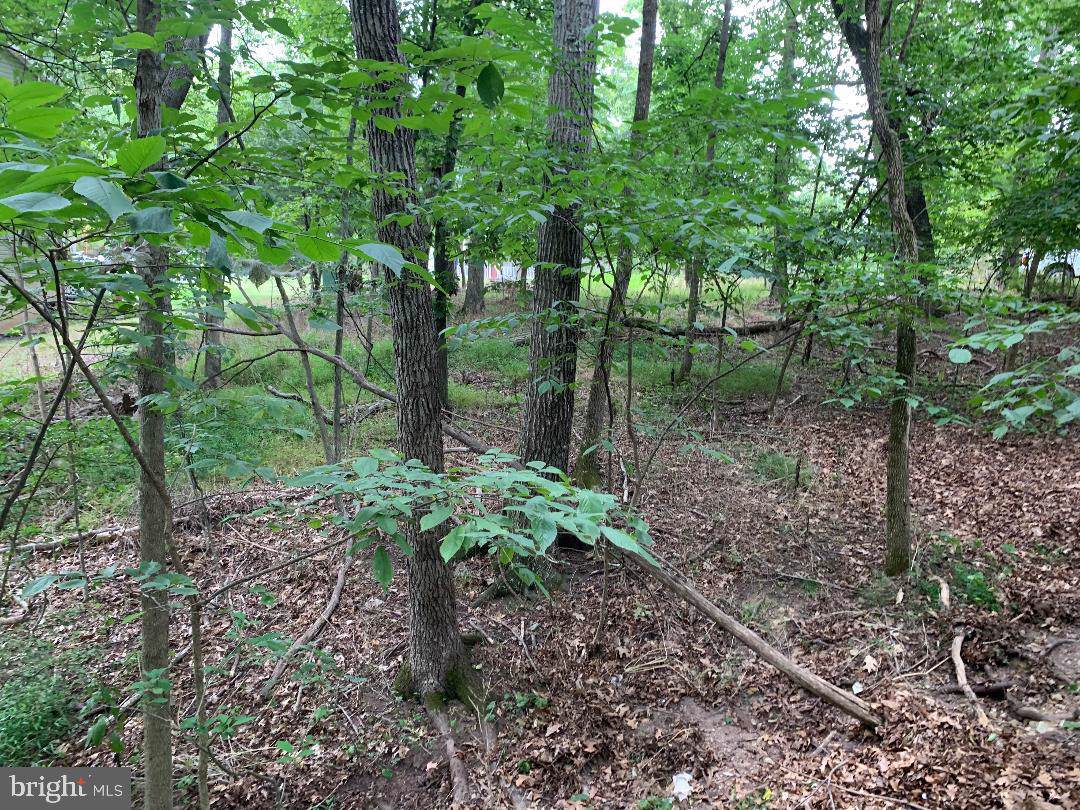 Unknown - Photo 1