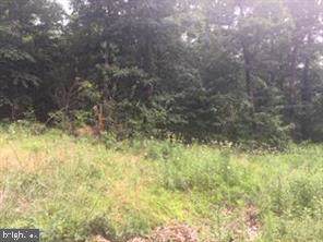 Perry Rd - Photo 1