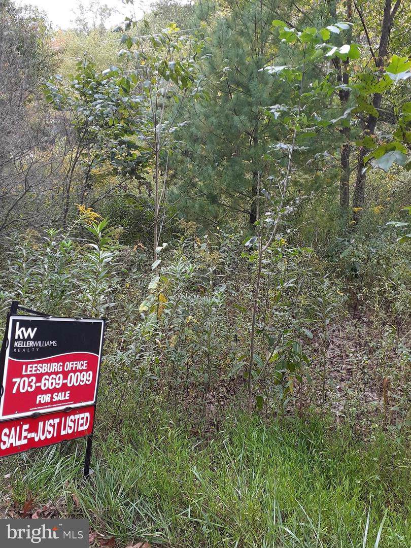 Back Creek Rd - Photo 1