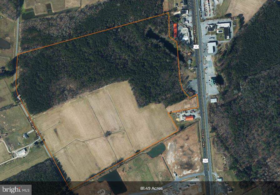0 Old Virginia Road - Photo 1