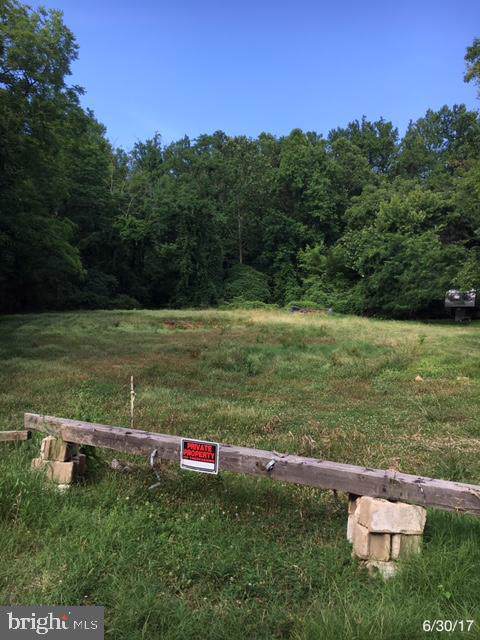 602 Rolling Road - Photo 1