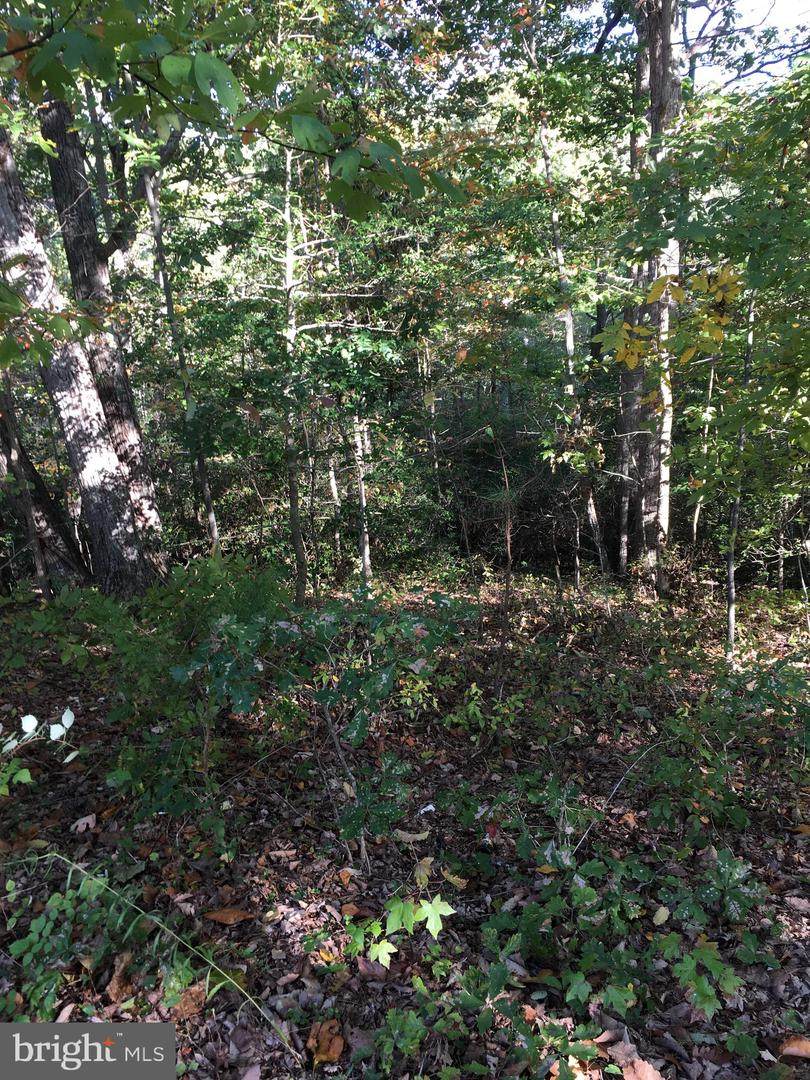 Lot 11 Whitfield Chapel Road - Photo 1