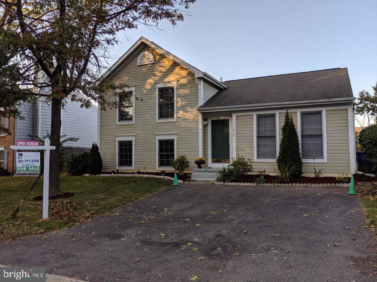 11613 Queen Nicole Terrace - Photo 1