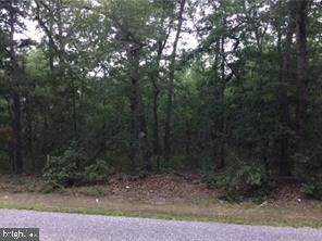 1169 Mizpah Road - Photo 1
