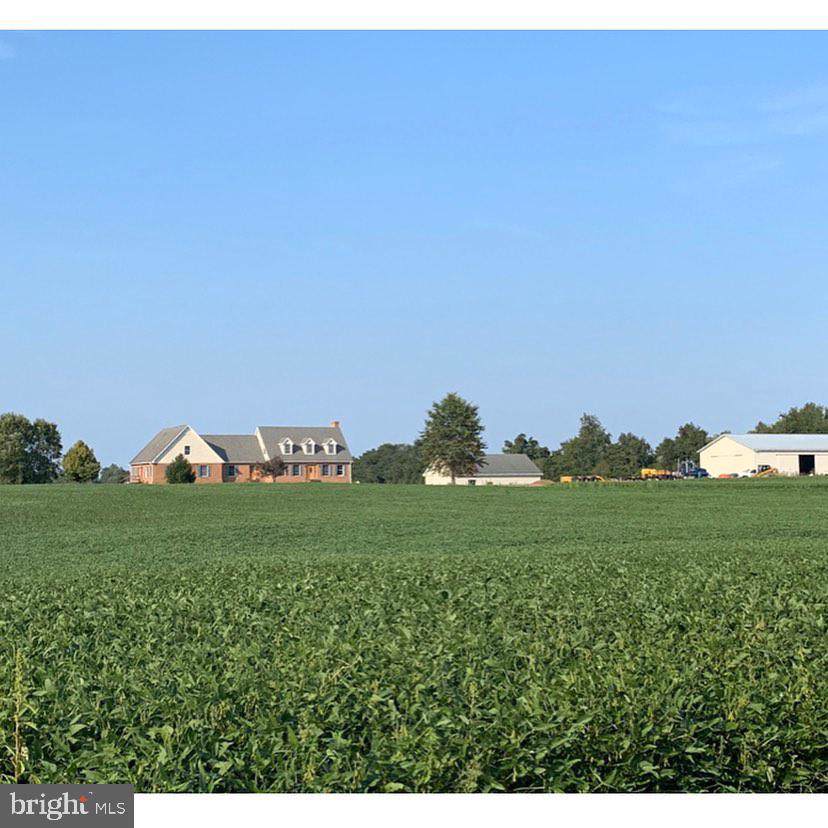26250 Royal Swan Road - Photo 1