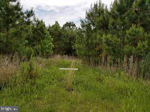 3404 Blackwater Road - Photo 1