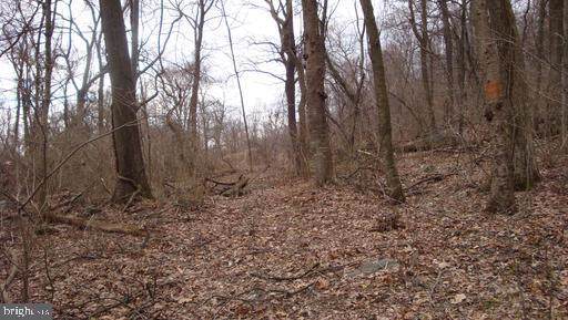 0 Rock Hill Lane - Photo 1