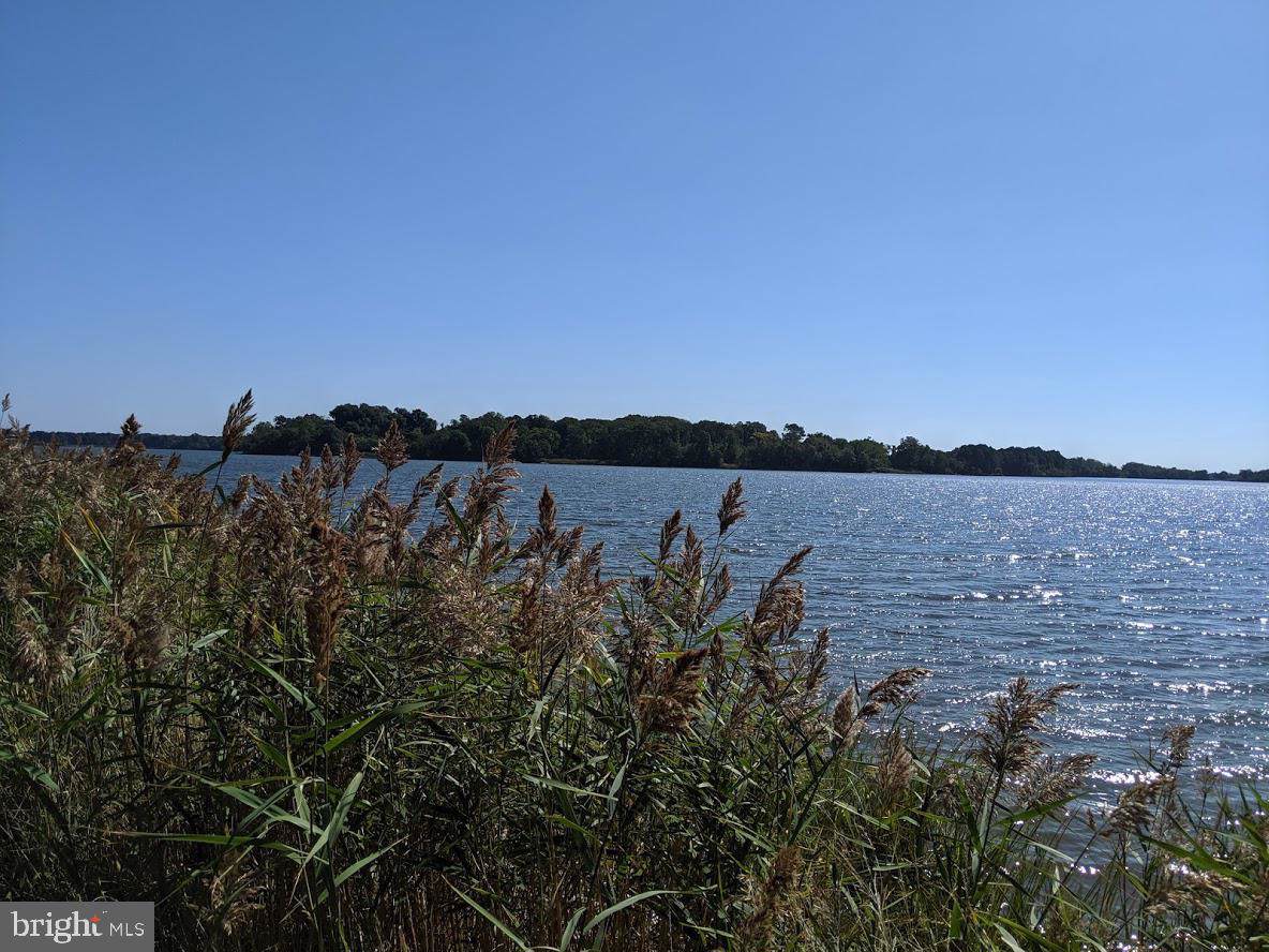 3009 Bennett Point Road - Photo 1