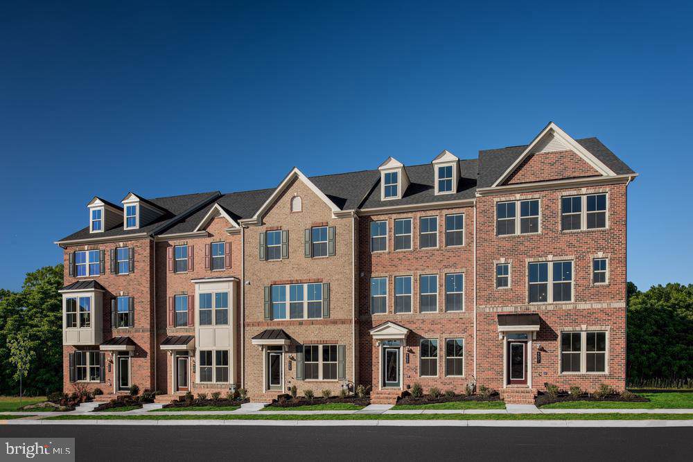 4746 Black Eyed Susan Mews - Photo 1