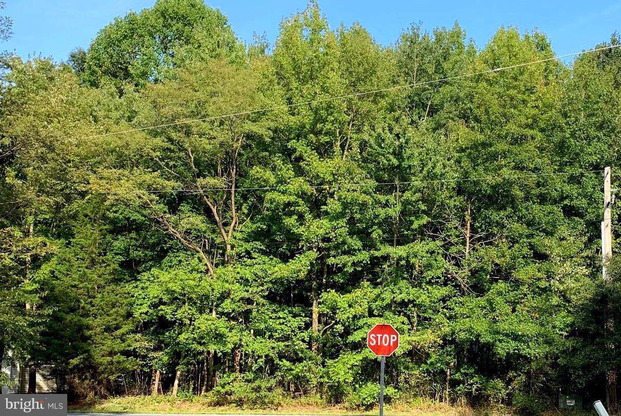 LOTS 195 & 196 Bunting Road - Photo 1