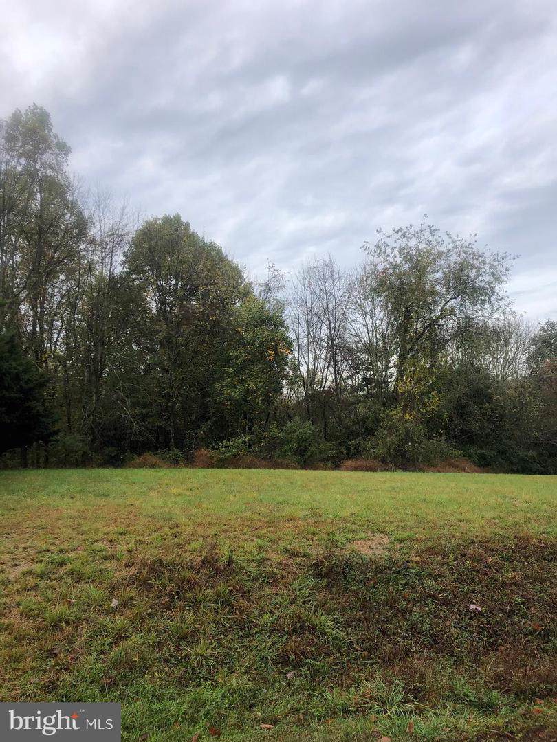 403 Black Hawk Drive - Photo 1
