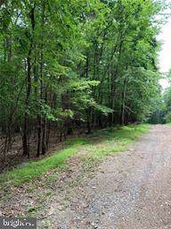 Pioneer Road - Photo 1