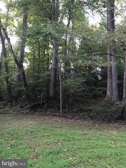 8605 Blossom Point Road - Photo 1