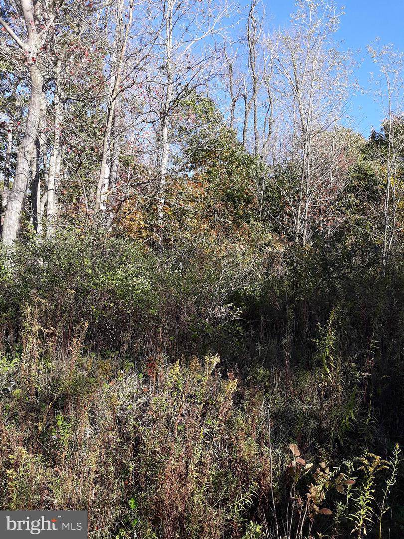 Lot Maryland Highway - Photo 1