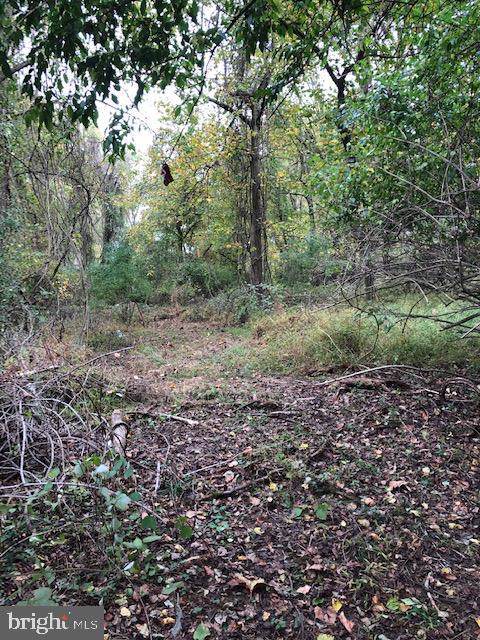 603 Mill - Photo 1