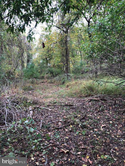 605 Mill - Photo 1