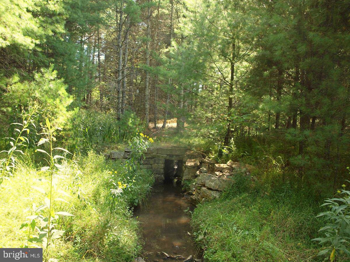 Brushy Mtn - Photo 1