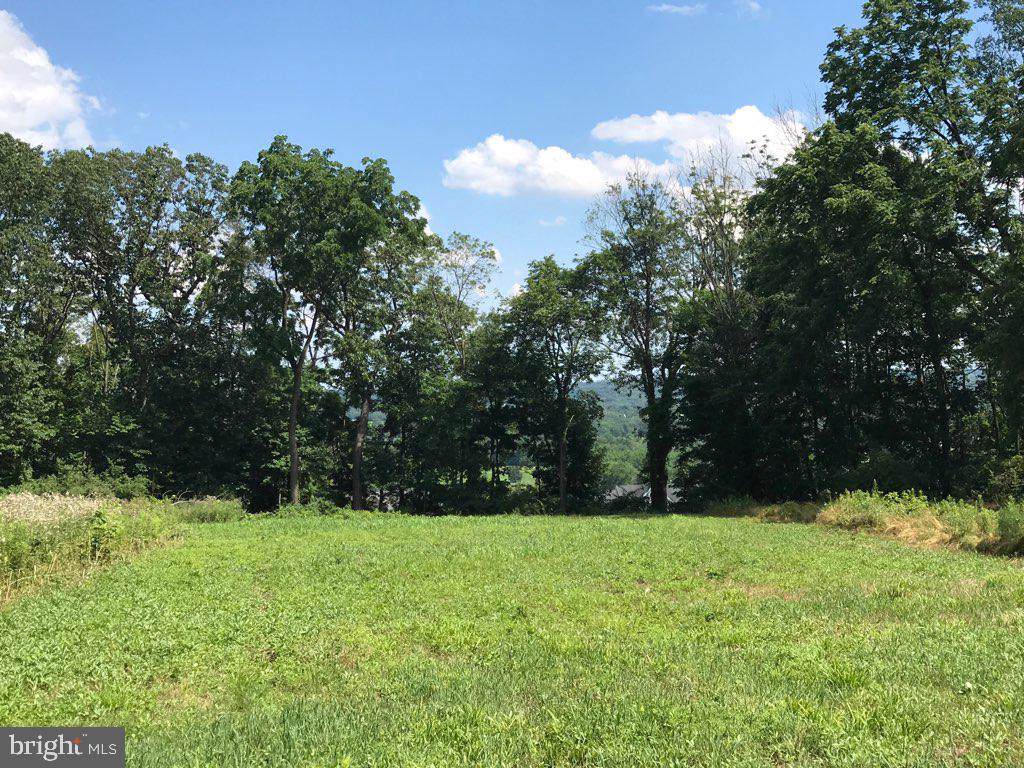 903 Hilltown Pike - Photo 1