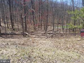 146 Kuhn Road - Photo 1