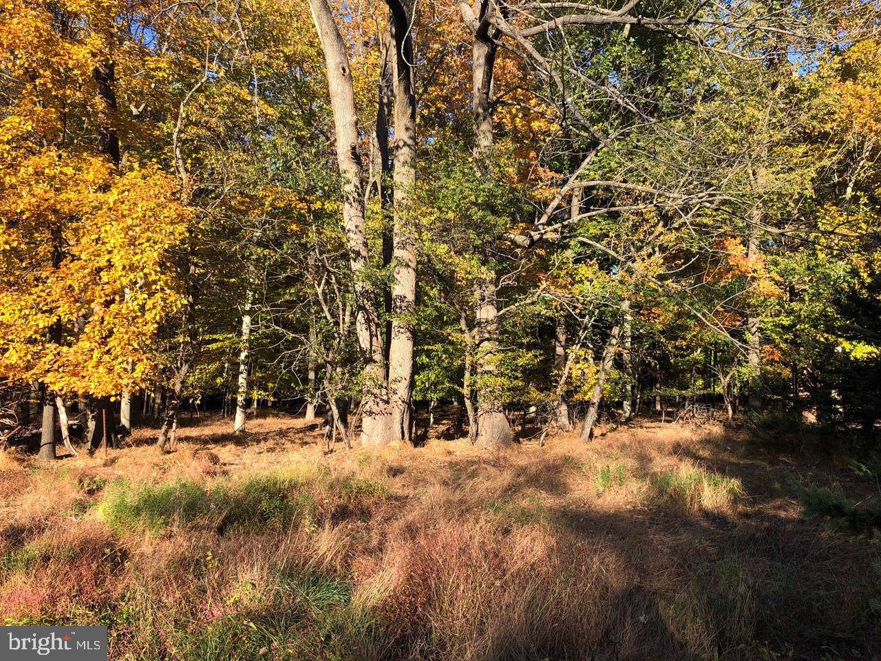 Lot 2 Middleton Lane - Photo 1